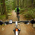 WEST BIKING Mountain Road Bike Wireless Big Character Table Big Screen Waterproof Night Light Speed Speedometer(Green)