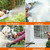 Plastic Household Flower Garden Watering Sprinkler, Orange