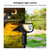 Solar Projection Light Outdoor IP65 Waterproof LED Landscape Garden Ground Plug Light Decorative Lawn Lamp (White Light)