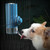 Pet Waterer Ball Feeder Hanging Dog Waterer Hanging Cage Pet Water Cup 700ML(Cherry Powder)