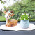 2 PCS Car Interior Decoration Anti-slip Mat PVC Soft Rubber Coaster Placemat(Fun Black)