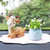 2 PCS Car Interior Decoration Anti-slip Mat PVC Soft Rubber Coaster Placemat(Fun Powder)