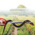 4 PCS Rice Eel Clip Lobster Tongs Rice Eel Clip Crab Loach Pliers Fish Control Garbage Clip, Size:38cm, Style:Straight