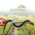 4 PCS Rice Eel Clip Lobster Tongs Rice Eel Clip Crab Loach Pliers Fish Control Garbage Clip, Size:52cm, Style:Elbow