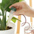 6 Sets  Flower Potted Automatic Watering Device