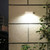 12 LED Solar Outdoor Waterproof Body Sensor Wall Light(White Shell-White Light)