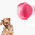 Outdoor Portable Pet Water Dispenser Cat and Dog Portable Drinking Fountain, Style:Small Dog(Pink)