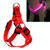 Double Sided LED Light Pet Harness Nylon Cat Dog Chest Strap Leash, Size:M(Red)