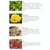 45W SMD 2835 Red + Blue Light LED Plant Growth Light, 225 LEDs Greenhouse Light Aquarium Light, AC 85-265V