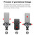 Baseus Universal 360 Degree Rotation Osculum Type Gravity Car Mount Phone Holder, For iPhone, Galaxy, Sony, Lenovo, HTC, Huawei, and other Smartphones(Red)