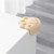 5 PCS Children Silicone Table Anti-Collision Protection Corners Guard(Claw Face Gray)