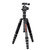 BEXIN BX255C K30 Portable Carbon Fiber Tripod for Camera Dslr