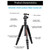 BEXIN BX255C K30 Portable Carbon Fiber Tripod for Camera Dslr