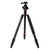 Triopo GT-2804X8.C Adjustable Portable Carbon Fiber Tripod (Gold) with B-2 Aluminum Ball Head (Black) for Canon Nikon Sony DSLR Camera