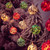 LED Christmas Decorative Ball Lights Scene Arrangement Lantern String, Spec: Battery Type 3m(Diamond)