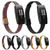 For Fitbit Ace 3 / Inspire 2 Double Insurance Buckle Milanese Watch Band(Silver)