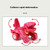2 PCS Dinosaur Deformation Car Children Inertial Sliding Car Model Toy(Rose Red)
