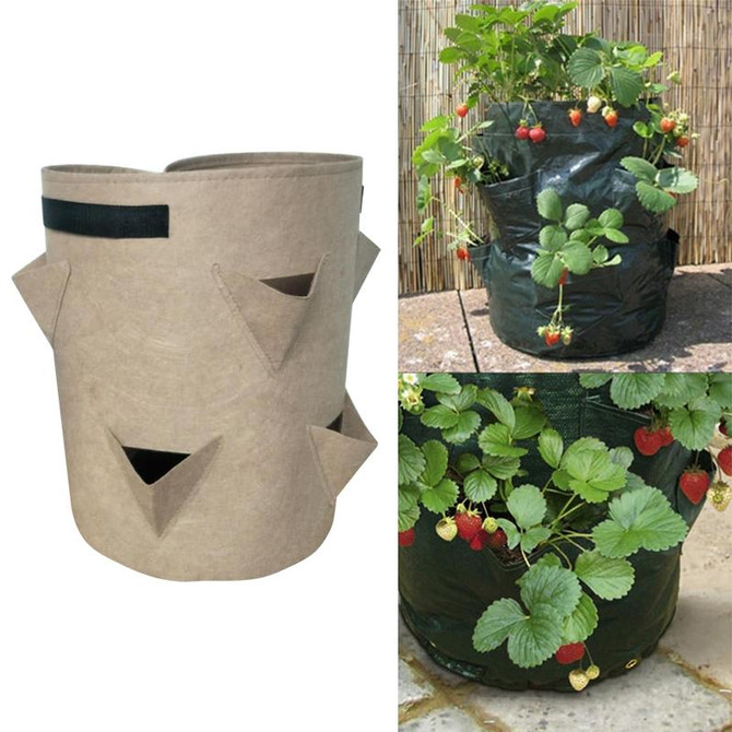 3 Pockets 18L / 5 Gallon Non-woven Felt Strawberry Planting Bag, Size: 23X28cm(Brown)