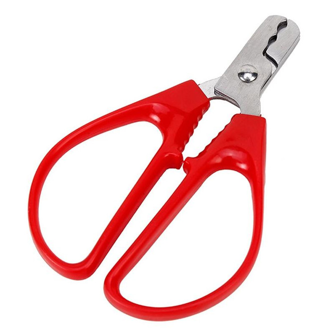 Shelling Scissors Peanut Shelling Clip Pine Nut Pliers Household Melon Seed Peeling Tool