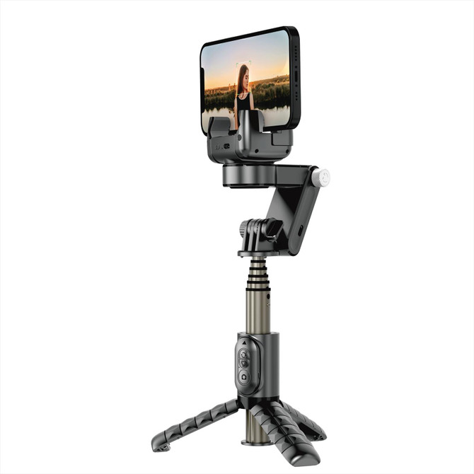 WIWU Wi-SE006 God of War Gimbal Stabilizer Fill Light Selfie Stick(Black)