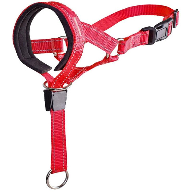 Pet Anti-Bite Leash Cover Riot Rush Pull Dog Leash, Size: M(Red)