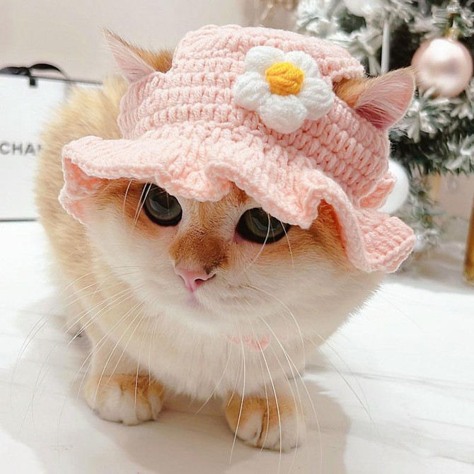 Pet Headgear Props Cats And Dogs Knitted Hat Headwear, Size: M(Pink Flower)