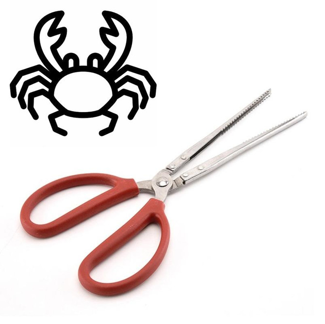 Crab Tongs Loach Tongs Sea Tool, Model: 53cm Ctraight Clip