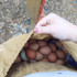 Outdoor Foraging Bag Vegetable Garden Orchard Picking Bag Waist Hanging Tool Bag(Khaki)