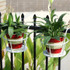 2 PCS Iron Metal Railing Potted Plant Shelves Hanging Flowerpot Rack (White)