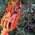 Plum Date Apricot Pick Fruit Plastic Tool(Orange)