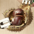 Stainless Steel Chestnut Clip Chestnut Sheller Opener