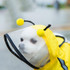 Pet Cartoon Pattern Waterproof All-inclusive Four-leg Raincoat, Size:L(Yellow Bee)