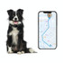 V41 Smart GPS Tracker IP67 Waterproof Pet Anti-loss Positioner, Version:4G  Version-A(Black)