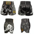 ZhuoAo Boxing Shotgun Clothing Training Fighting Shorts Muay Thai Pants, Style: HIT Red Stamping(M)