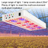 LED Plant Grow Light Indoor Timing Remote Control Grow Light Full Spectrum Nursery Fill Lights, Plug: US