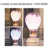 Cartoon Balloon Shape USB Charging Eye Protection LED Night Light Bedroom Reading Table Lamp, Color: Purple