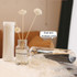 50pcs /Box 3mmx25cm Rattan Aromatherapy Stick Floral Water Diffuser Hotel Deodorizing Diffuser Stick(White)