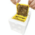 Bee Heading Box Foam Breeding Box Pollination Box