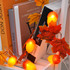 2m 10 Lights LED Decorative Light String, Style:Maple Leaf + Acorn