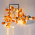 2m 10 Lights LED Decorative Light String, Style:Rhombus Leaf