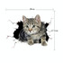 4 PCS 3D Simulation Animal Personality Car Stickers Glass Car Door Scratches Decorative Occlusion Stickers(Cat Style 6)