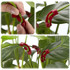 30PCS Y0082 90 Degree Plant Bender Auxiliary Device Gardening Plant Tool(Red)