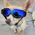 Dog Glasses Sunglasses Pet Glasses(blue)