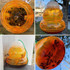 Bee Trap Outdoor Plastic Environmental Protection Insect Trap