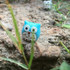 10 PCS Owl Mini Micro Landscape Decoration Resin Crafts DIY Landscape Ornaments(Lake Blue)