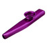 10 PCS Metal Kazoo Children Accompaniment Instrument(Purple)