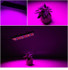 25W 75LEDs Full Spectrum Plant Lighting Fitolampy For Plants Flowers Seedling Cultivation Growing Lamps LED Grow Light  AC85-265V US