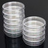 10 PCS Polystyrene Sterile Petri Dishes Bacteria Dish Laboratory Biological Scientific Lab Supplies, Size:150mm