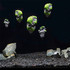 Aquarium Decoration Floating Pumice Suspended Stone Artificial Fish Tank Acuarios Moss Flying Rock Aquatic Ornament Landscape, Large Size: 13.0 x 21.0cm