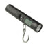 Portable Electronic Handheld Scale with LED Light (50kg/10g)